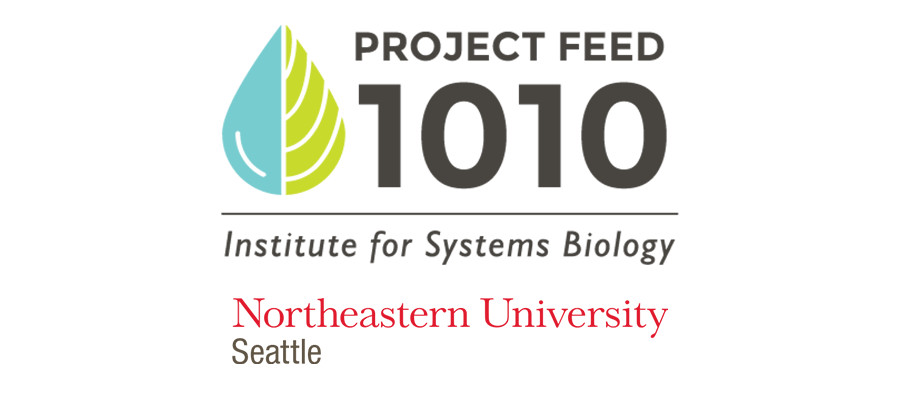 Project Feed 1010 partnership gives graduate students ‘start-up’ experience through advanced software development course